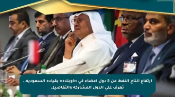 ارتفاع إنتاج النفط من 8 دول أعضاء في «أوبك+» بقيادة السعودية.. تعرف على الدول المشاركة والتفاصيل